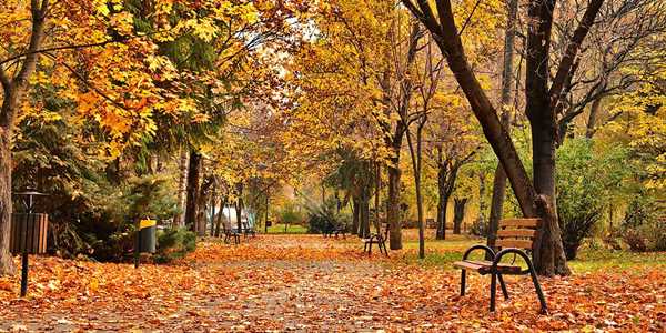 The Allure of Autumn in Europe